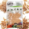 ProBugs Eco-Fresh Riceworm 15g - świeże larwy muchy